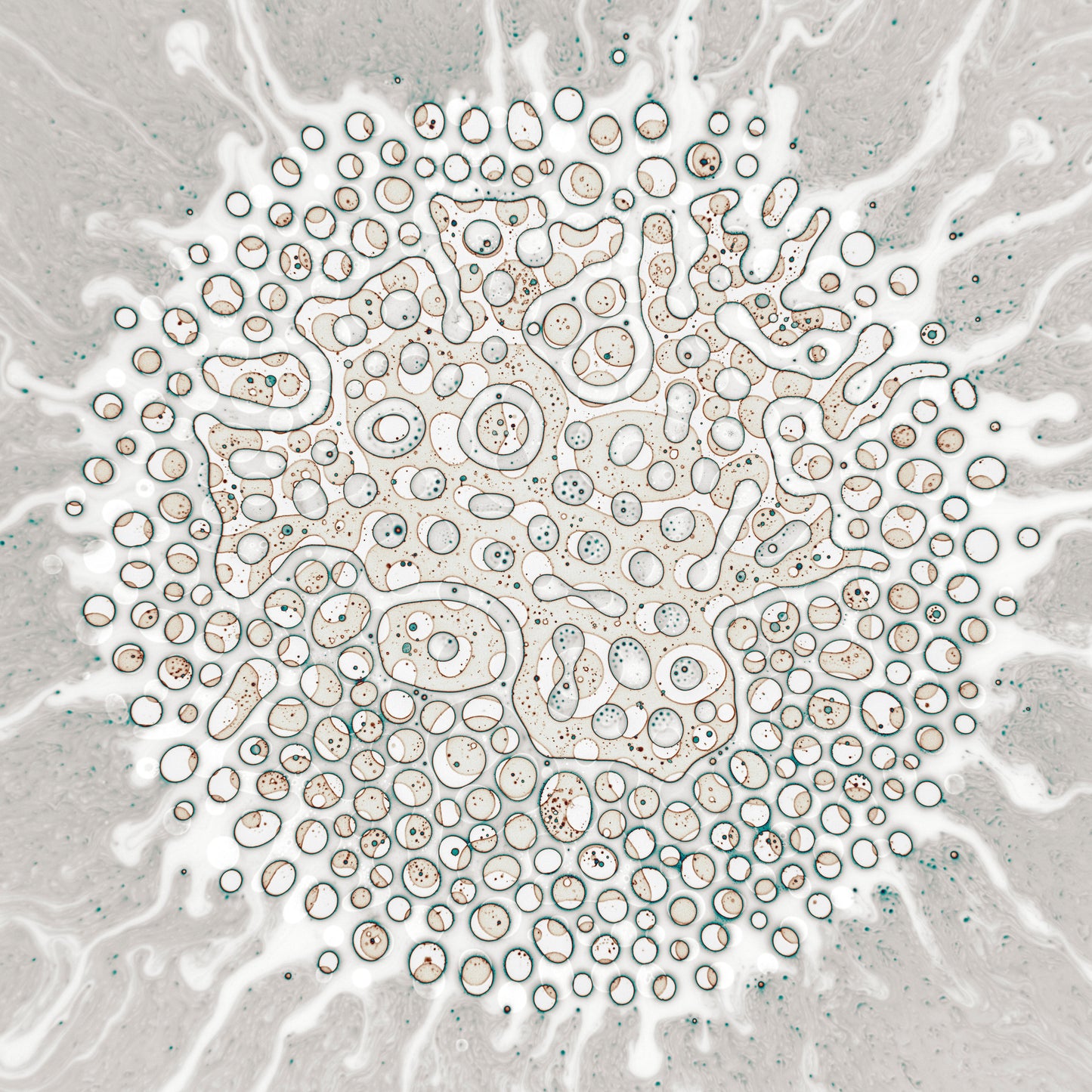 Study #323 5"x7"