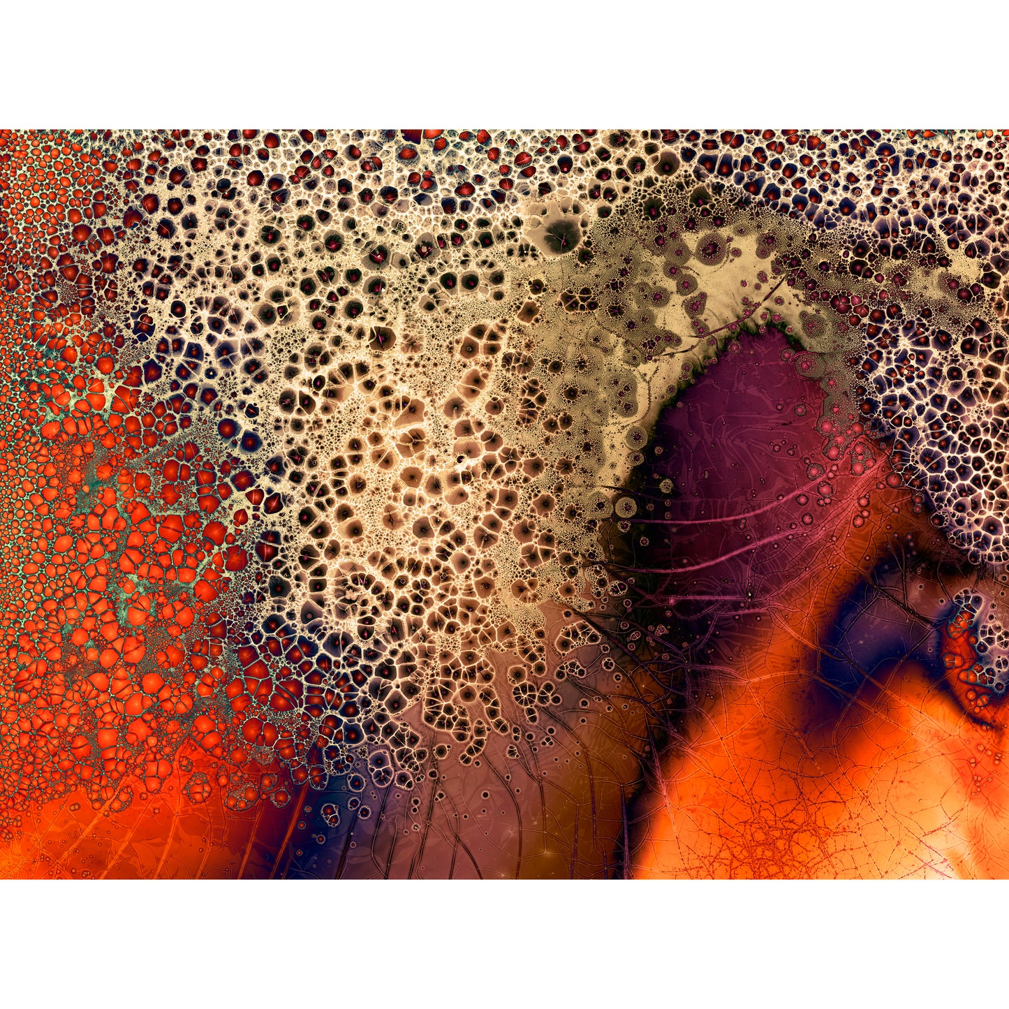 Untitled #524, 11"x8.5"